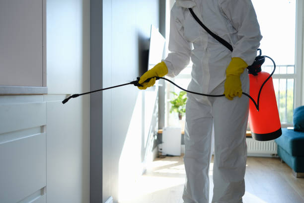 Professional Mold Remediation in Pelham, AL